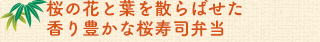 桜の花と葉を散らばせた香り豊かな桜寿司弁当